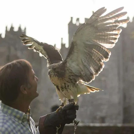 The At Castle * Kilkea